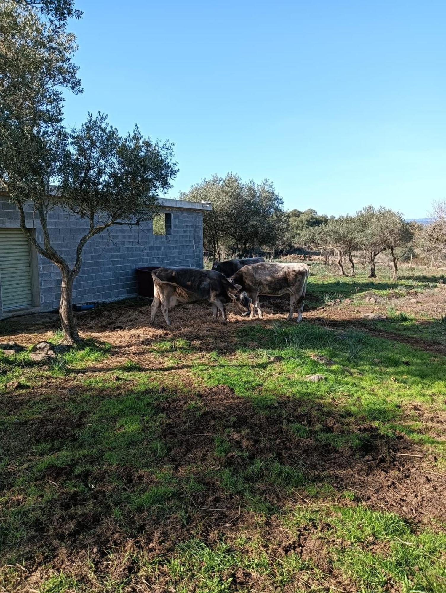 Farmhouse La Croisette - Agriturismo دورغالي المظهر الخارجي الصورة