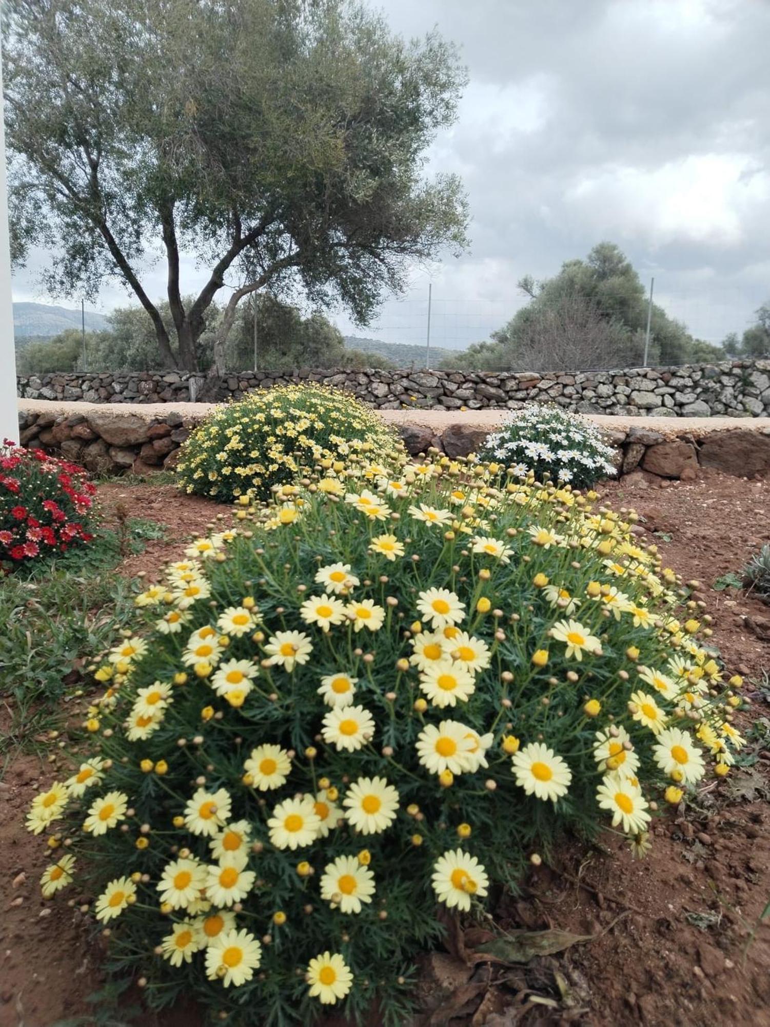 Farmhouse La Croisette - Agriturismo دورغالي المظهر الخارجي الصورة
